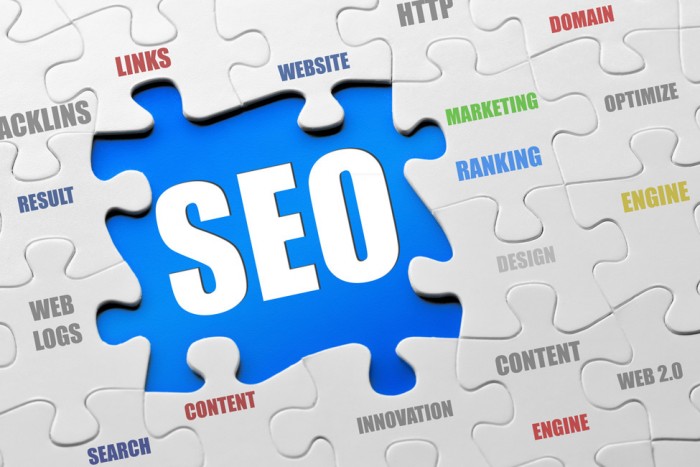 Seo Expert India
