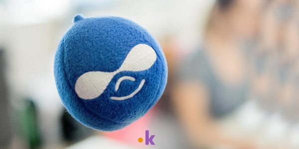 perche usare drupal