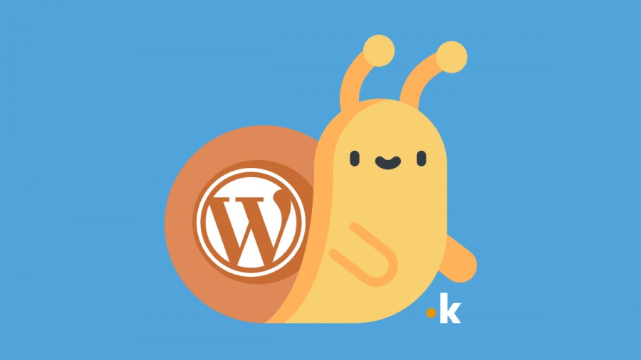 perché wordpress è lento
